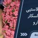 رفع اسکار بلفاروپلاستی
